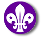 F-scout-logo.png